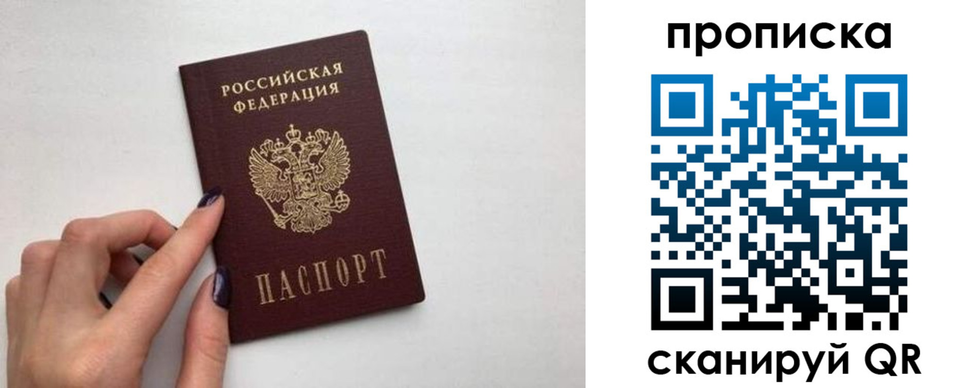 прописка для школы в Сертолово